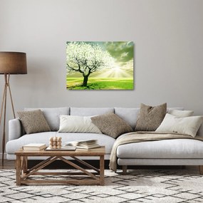 Sklenený obraz kvitnúceho stromu (70x50 cm)