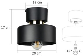 Stropné svietidlo IGNIA 1xE27/60W/230V čierna