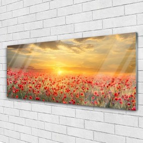 Obraz plexi Slnko lúka mak kvety 125x50 cm