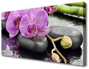Obraz Canvas Kamene zen orchidea kúpele 120x60 cm