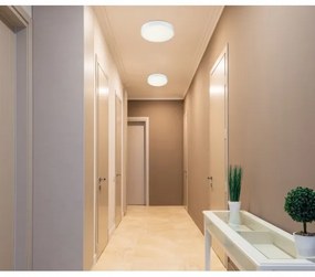 Globo 12364-30 - LED Stmievateľné stropné svietidlo LED/28W/230V