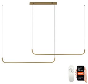 Immax Neo 07228L - LED Stmievateľný luster na lanku PATTINI LED/53W/230V Tuya+DO IM1264