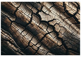 Tapeta prírodná textúra dreva