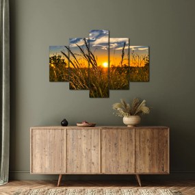 Obraz pole pri západe slnka (150x105 cm)