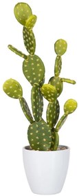 Okrasný kaktus v kvetináči - 18 * 14 * 53cm