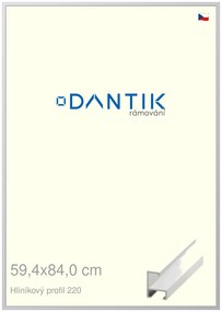 DANTIK rám na obraz 59,4x84 | ALU Bílá matná (Plexi Čiré)