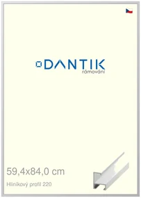 DANTIK rám na obraz 59,4x84 | ALU Bílá matná (Plexi Čiré)
