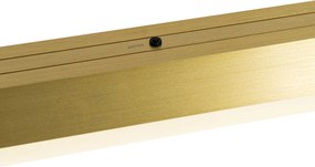 Nastaviteľná závesná lampa zlatá vrátane LED - Lamba