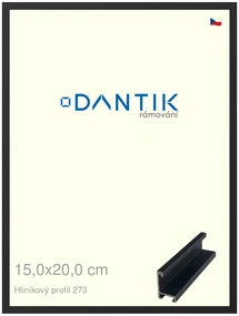 DANTIK rám na obraz 15x20 | ALU Černá matná (Sklo Čiré)