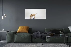 Obraz na plátne Hrať s tým psom 125x50 cm