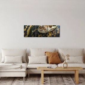 Obraz - Pytón (s hodinami) (90x30 cm)
