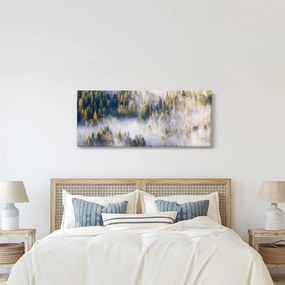 Obraz stromov v hmle (120x50 cm)