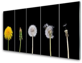 Obraz na skle Púpava rastlina 120x60 cm