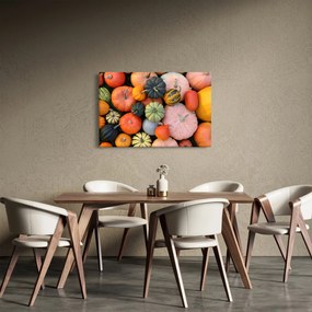 Obraz - Tekvica (90x60 cm)