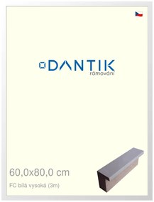 DANTIK rám na obraz 60x80 | FC Bílá vysoká (Plexi Čiré)