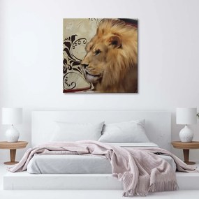 Obraz na plátně Lev Zvířata Afrika - 40x40 cm