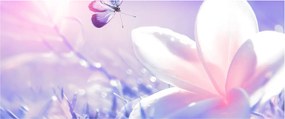 Obraz - Motýľ prilietajúci na kvet (120x50 cm)