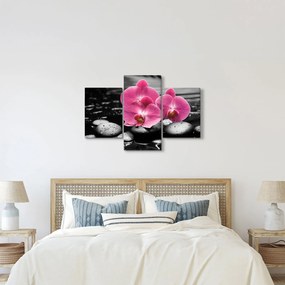 Obraz - Ružové orchidey (90x60 cm)