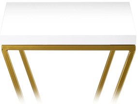 STOJAN NA KVETINÁČ LOFT6 70X24X24 CM ZLATÁ/BIELA