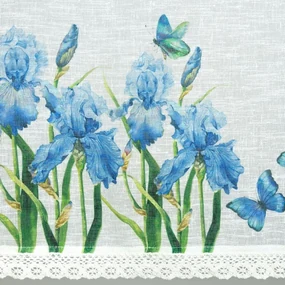 Dekorstudio Kuchynská etamínová záclona s čipkou IRIS Rozmer záclonky: 30x150cm