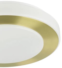 Eglo 900369 - LED Kúpeľňové stropné svietidlo CARPI LED/10,8W/230V IP44