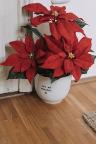 Bella Rose Porcelánový obal na kvetináč Jsi má vánoční hvězda 13 cm – CZ