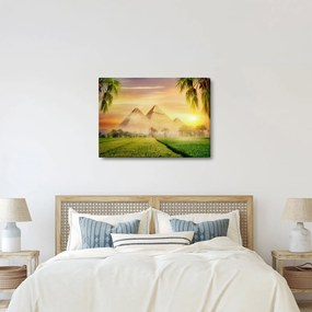 Obraz - Pyramídy (70x50 cm)