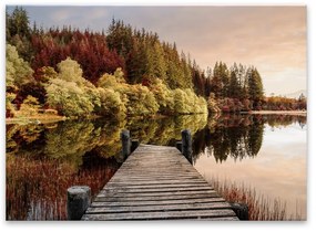 Sklenený obraz Styler Autumn Path, 80 x 120 cm