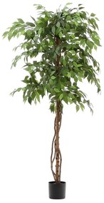 Umelý fikus (výška 180 cm) Ficus – Kave Home