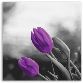Gario Obraz na plátne Dva fialové tulipány Rozmery: 40 x 40 cm