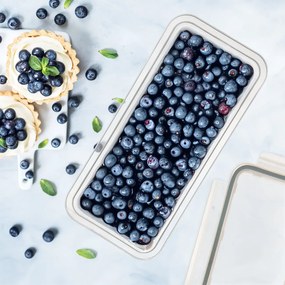 Orion 2. akosť - Plastová dóza na potraviny Lock & Lock UROVNEJTO - 0,45l