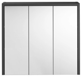 Livarno home Zrkadlová skrinka Oslo, 65 x 60 x 17 cm, antracitová  (100364899)