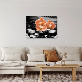 Obraz - Oranžové orchidey (70x50 cm)