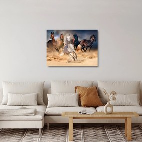 Sklenený obraz - Kone v púšti (70x50 cm)