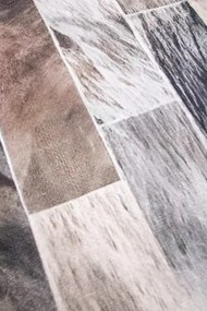 Koberec CANES KLXD220302