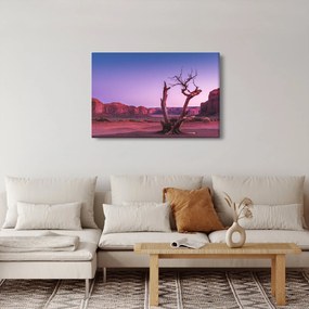 Obraz stromu u červených skál (90x60 cm)