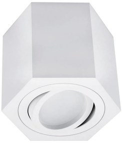 BOWI Stropné svietidlo ARENO 1xGU10/30W/230V biela SKU013355