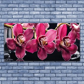 Obraz plexi Kvety orchidey výhonky príroda 120x60 cm