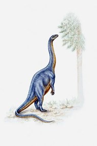 Ilustrácia Illustration of a Plateosaurus reaching for, Dorling Kindersley