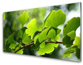 Skleneny obraz Vetvy listy príroda strom 120x60 cm