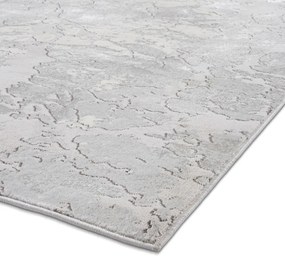 Sivý/béžový koberec 220x160 cm Apollo - Think Rugs
