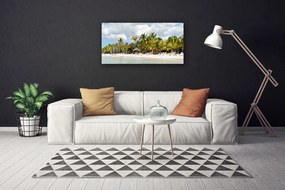 Obraz na plátne Pláž palma stromy príroda 100x50 cm