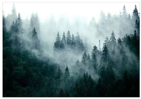 Samolepiaca fototapeta - Mountain Forest (Dark Green) Veľkosť: 98x70, Verzia: Samolepiaca