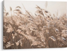 Obraz - Lúčny vánok (70x50 cm)