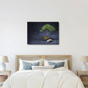 Sklenený obraz - Bonsai (70x50 cm)