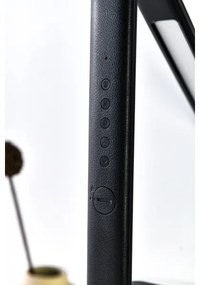 Immax 08930L - LED Stmievateľná stolná lampa KINGFISHER LED/9W/230V/12V