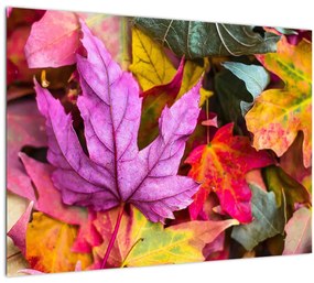 Sklenený obraz - jesenné listy (70x50 cm)