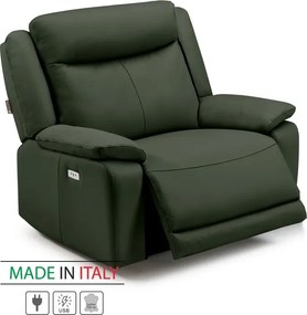 Kožené kreslo CONTINENTAL s elektrickou funkciou relax 1P, elektrické, zelená (green 321)