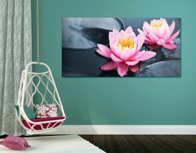Obraz lotosový kvet v jazere - 100x50