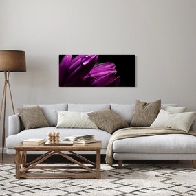 Obraz - Kvapka vody (120x50 cm)